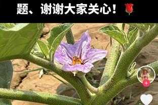 迅速调整！小卡3中0后4中4 打满首节7中4贡献8分3板2断